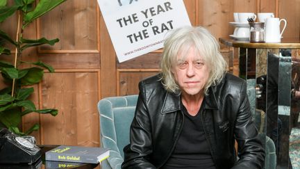 Bob Geldof à Berlin le 7 février 2020 (JENS KALAENE / ZB)