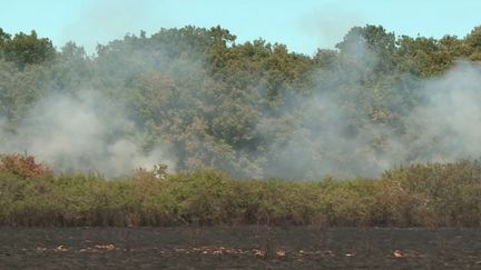 Incendies : vigilance maximale en Haute-Garonne après plusieurs départs de feu