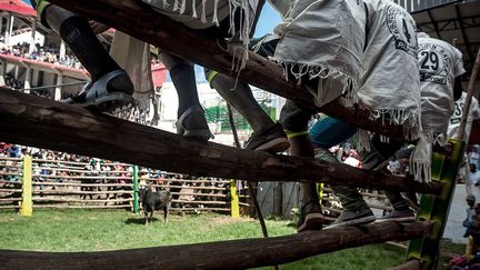 mariages, circoncisions, cérémonies des morts. Mais aujourd’hui, il est devenu un sport national. Il attire autant les foules qu’un match de football. Pour les Malgaches, c’est un lien très puissant entre les générations.  (Henitsoa Rafalia / AFP)