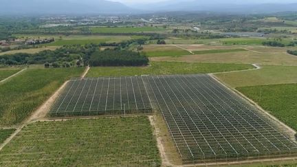 Climat : des panneaux solaires pour protéger les vignes