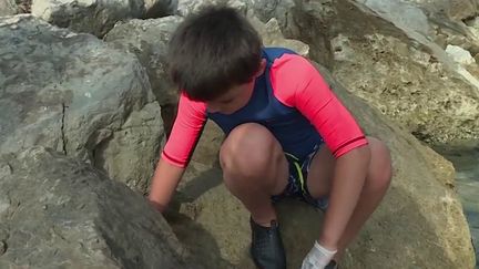 Environnement : ces bénévoles qui nettoient les plages de Méditerranée