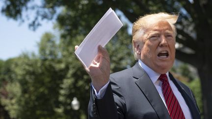 Donald Trump parle avec des journalistes à la Maison Blanche, le 11 juin 2019. (JIM WATSON / AFP)