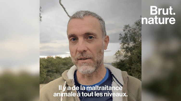 VIDEO. La chasse de la palombe pour un chasseur et un militant anti-chasse