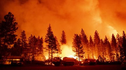 Le feu de forêt "Mosquito", le 13 septembre 2022 à Foresthill (Etats-Unis). (JOSH EDELSON / AFP)