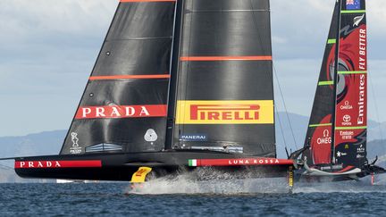 Team New Zealand et Luna Rossa lors de la Coupe de l'America  (GILLES MARTIN-RAGET / AFP)