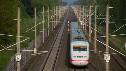 Le train &agrave; grande vitesse allemande ICE circule sur une voie ferr&eacute;e pr&egrave;s de Wolfsburg (Allemagne), le 23 avril 2014.&nbsp; (JOCHEN LÜBKE / DPA / AFP)