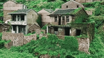 Juste en face de Shanghai, sur l’île de Shengshan, le village de Houwatan est quasiment déserté. Depuis, les plantes ont bien recouvert cet ancien lieu de vie.