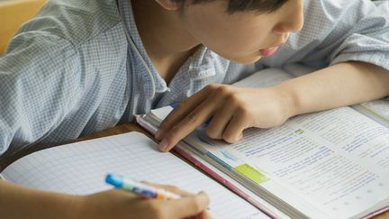 De nouveaux manuels scolaires vont être imprimés à l'été 2016 pour les classes de primaire et de&nbsp;collège. (MAXPPP)