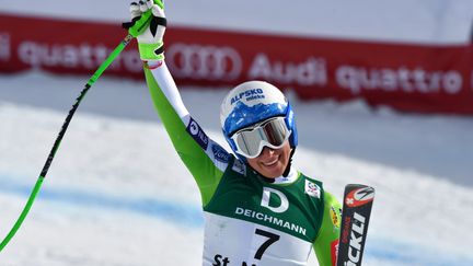 Coupe du monde : Blessé, Marcel Hirscher sera forfait au moins