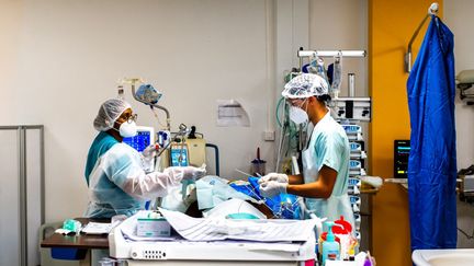 Des soignants au chevet d'un patient malade du Covid-19, dans le service de soins intensifs du CHU de Pointe-à-Pitre (Guadeloupe), le 24 septembre 2020. (LARA BALAIS / AFP)