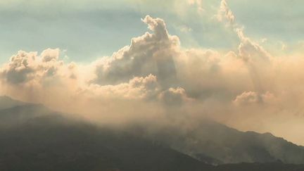 Incendie : en Haute-Corse, un feu de forêt a déjà parcouru 450 hectares de végétation