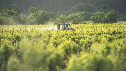 Un tracteur roulant dans un vignoble pulvérisant un produit phytosanitaire sur les vignes, le 11 mai 2022 (photo d'illustration). (IDRISS BIGOU-GILLES / HANS LUCAS)