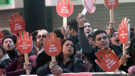 Des militants pro-avortement manifestent près du Tribunal constitutionnel du Chili, lundi 21 août 2017 à Santiago. (CLAUDIO REYES / AFP)