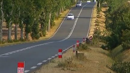 Une trentaine d'arbres abattus à l'entrée de Luçon