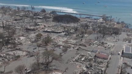 Incendie à Hawaï : la réactivité des autorités remise en question (France 2)