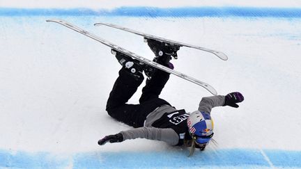 Le Slopestyle en ski fait partie des douze nouvelles disciplines aux JO de Sotchi.  (RICHARD JUILLIART / AFP)