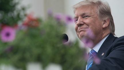 Le président des Etats-Unis, Donald Trump, lors du Memorial Day, à Arlington (Virginie), le 29 mai 2017. (NICHOLAS KAMM / AFP)