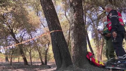 Incendie dans le Var : une cellule d'enquête à pied d'œuvre pour déterminer la cause du départ de feu