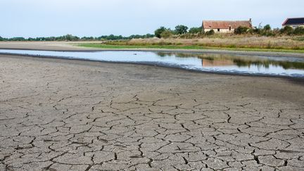 L'étang des Landes, le 27 août 2019 à Lussat (Creuse). (THOMAS BAIETTO / FRANCEINFO)