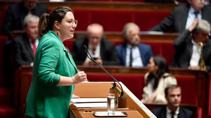 Cyrielle Chatelain, présidente du groupe EELV à l'assemblée nationale, le 24 octobre 2022. (JULIEN DE ROSA / AFP)