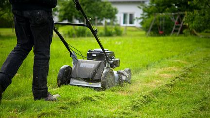 &nbsp; (Avec le dérèglement climatique, nous sommes parfois obligés de tondre en décembre © fotolia)