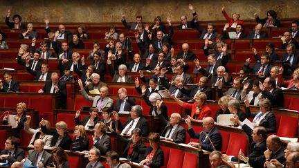 Les députés votent à main levée l'article&nbsp;sur la prolongation de l'état d'urgence pour trois mois, jeudi 19 novembre 2015. (FRANÇOIS GUILLOT / AFP)