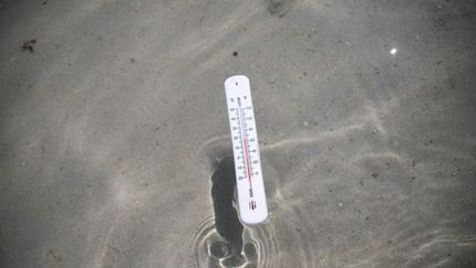 Un thermomètre dans l'eau de mer, à Kerlouan, dans le Finistère, photographié le 22 juin 2023. (VINCENT FEURAY / HANS LUCAS / AFP)