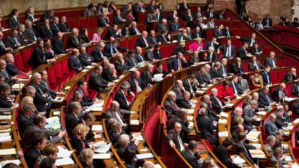 Députés à l'Assemblée nationale (18 novembre 2014)
 (François Laffie / Wostock Press MaxPPP)