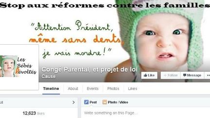  (La page Facebook "Congé parental et projet de loi" © Capture d'écran Facebook)