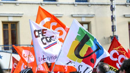 Des manifestants agitent des drapeaux syndicaux, le 19 janvier 2023, lors d'une manifestation contre la réforme des retraites à Valence (Drôme). (NICOLAS GUYONNET / HANS LUCAS / AFP)