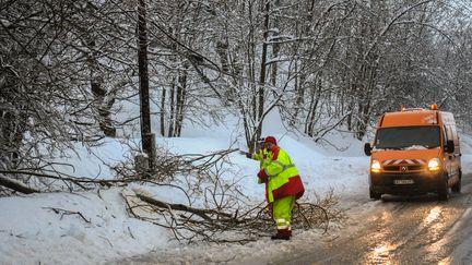 Un employé départemental ramasse des branches tombées sur la route sur le passage de la tempête Eleanor, le 4 janvier 2017,&nbsp;à&nbsp;Saint-Jean-de-Belleville (Savoie). (JEAN-PIERRE CLATOT / AFP)