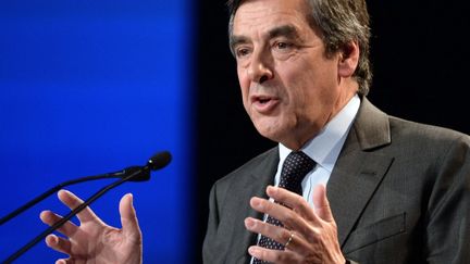 L'ancien Premier ministre Fran&ccedil;ois Fillon lors d'un meeting de l'UMP &agrave; Paris, le 25 janvier 2014.&nbsp; (PIERRE ANDRIEU / AFP)