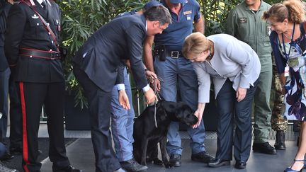 Angela Merkel et Matteo Renzi avec le chien sauveteur Leo, à Maranello, en Italie, le 31 août 2016.&nbsp; (GIUSEPPE CACACE / AFP)