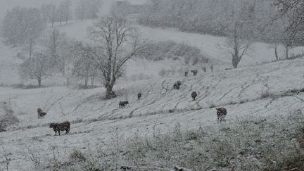 Dans le Cantal, le 29 novembre 2017. (MAXPPP)