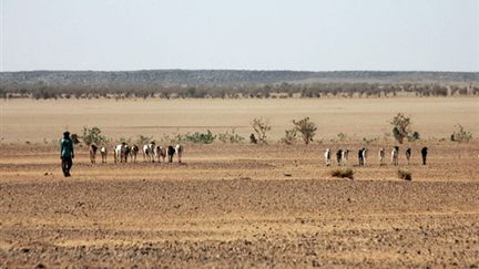 Dans le désert nigérien, entre Agadez and Arlit, à 850 km au nord de Niamey, la capitale du pays (AFP - PIERRE VERDY)