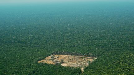 Une vue aérienne de la déforestation en Amazonie brésilienne. (CARL DE SOUZA / AFP)