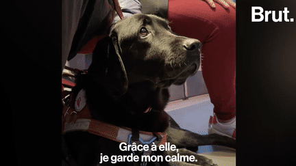 Gisèle est non-voyante. Pour la guider dans son quotidien et rester calme dans des situations qui peuvent être stressantes, elle compte sur sa chienne, Olympe.