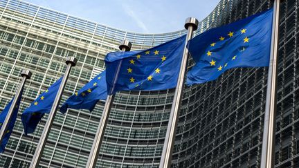 &nbsp; (La façade du parlement européen à Bruxelles. © Fotolia)