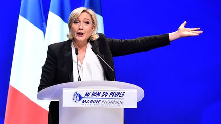 La candidate du Front national, Marine Le Pen, en meeting à Saint-Herblain (Loire-Atlantique), le 26 février 2017. (JEAN-FRANCOIS MONIER / AFP)