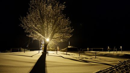 Le jeune homme a passé la nuit à flanc de montagne, accroché à un arbre, alors que les températures s'effondraient. (illustration) (FRANK MAY / PICTURE ALLIANCE)