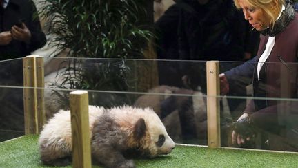 Brigitte Macron et le panda Yuan Meng, au zoo de Beauval, lundi 4 décembre 2017. (THIBAULT CAMUS / POOL / AFP)