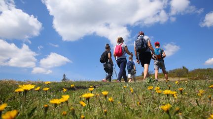 Avec le beau temps, les randonneurs ont pris d'assaut les chemins du massif de la Chartreuse. (photo d'illustration)&nbsp; (VANESSA MEYER / MAXPPP)