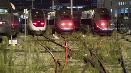 Des trains et TGV à l'arrêt au technicentre Atlantique SNCF situé à Châtillon, le 31 juillet 2018. (GEOFFROY VAN DER HASSELT / AFP)