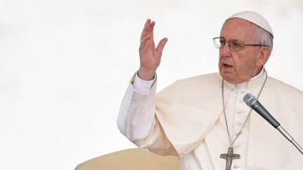 Le pape François, au Vatican, le 13 juin 2018. (ANDREAS SOLARO / AFP)