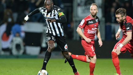 Le capitaine Cheick N'Doye et ses coéquipiers angevins tenteront de déborder Guingamp comme ils l'ont fait le 18 mars dernier (3-0). (JEAN-FRANCOIS MONIER / AFP)