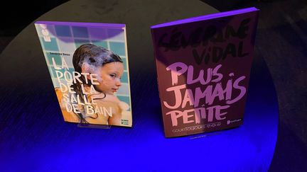 Deux livres jeunesses sur les violences sexuelles présentés dans un atelier sur la thématique lors du Salon du livre et de la presse jeune, le 4 décembre 2023, à Montreuil (Seine-Saint-Denis). (FG/FRANCEINFO)