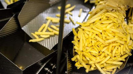 Des frites préparées en grande quantité. (AFP)