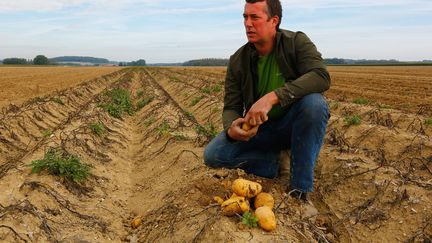 Charles-Edouard Gibrat, agriculteur &agrave; R&eacute;vigny-sur-Ornain (Meuse), s'est fait d&eacute;rober une tonne de pommes de terre dans un de ses champs. Ici dans son exploitation, le 2 octobre 2013. (/NCY / MAXPPP)