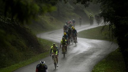 L'Espagnol Alberto Contador (deuxi&egrave;me de la file) dans le peloton du Tour de France lors de la 10e &eacute;tape entre Mulhouse (Haut-Rhin) et La Planche des Belles Filles (Haute Sa&ocirc;ne), le 14 juillet 2014. (LIONEL BONAVENTURE / AFP)