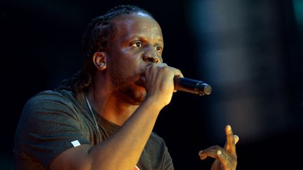 Le rappeur Youssoupha sur scène durant le concert de l'Urban peace 3 en 2013. (PIERRE ANDRIEU / AFP)